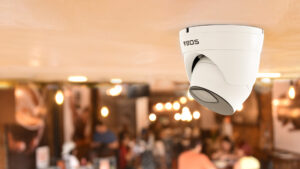 Telecamera Borinato Security